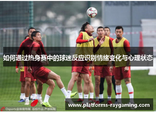 如何通过热身赛中的球迷反应识别情绪变化与心理状态